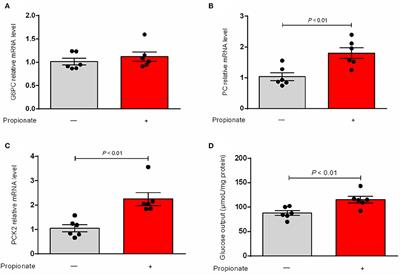 Overexpression of GPR41 attenuated glucose production in propionate-induced bovine hepatocytes